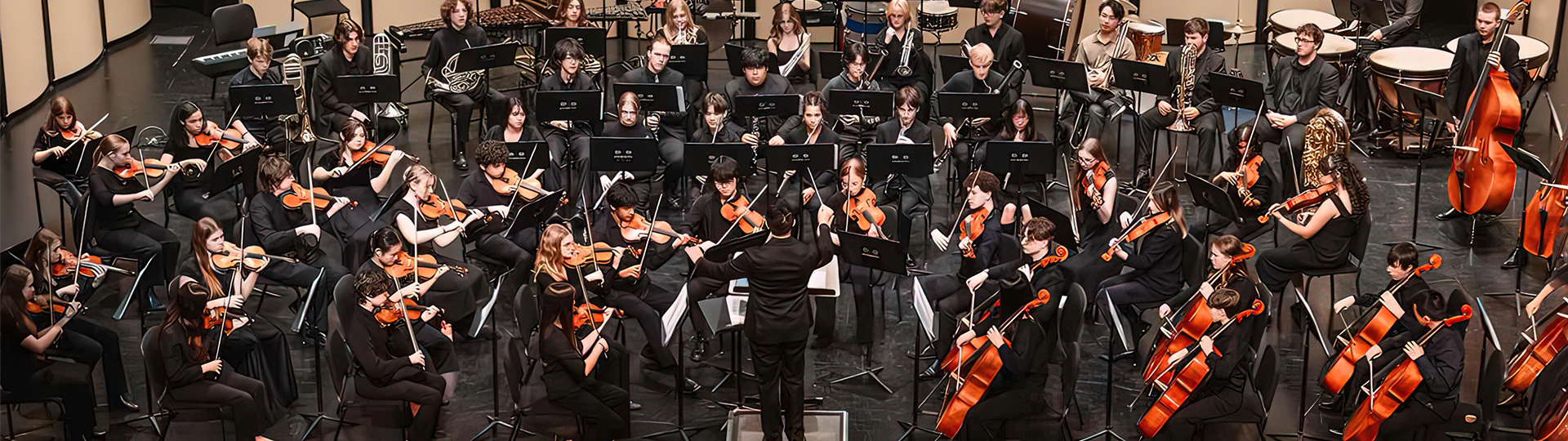 Louisville Youth Orchestra banner image