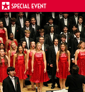 A group of musicians in black attire perform with violins in a concert setting, creating a harmonious atmosphere.