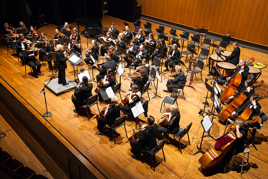 Photo of the IUS Orchestra